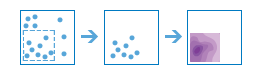 Calculate Density diagram